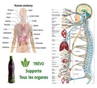 /album/trevo-gabon-cameroun/a1014416-702638753154357-4777404250921807854-n-jpg1/