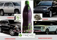 /album/trevo-gabon-cameroun/a1520612-288393421365672-4963031654076328973-n-jpg/